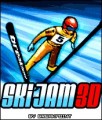 Ski Jam 3D
