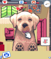 Dogz™ Dogz™