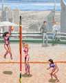Bikini Volleyball Bikini Volleyball